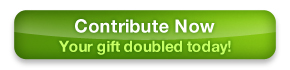 Contribute